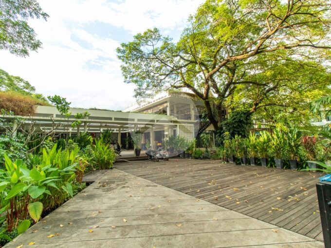 Commercial Space For Rent in Svay Dangkum