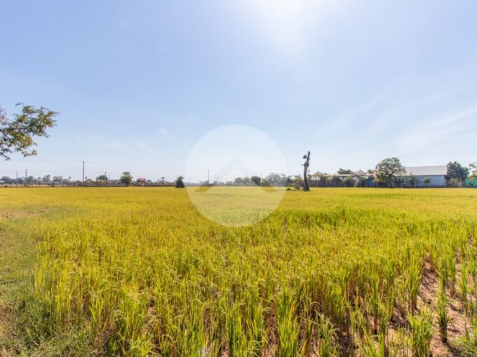 7719 Sqm Residential Land For Sale - Kandaek
