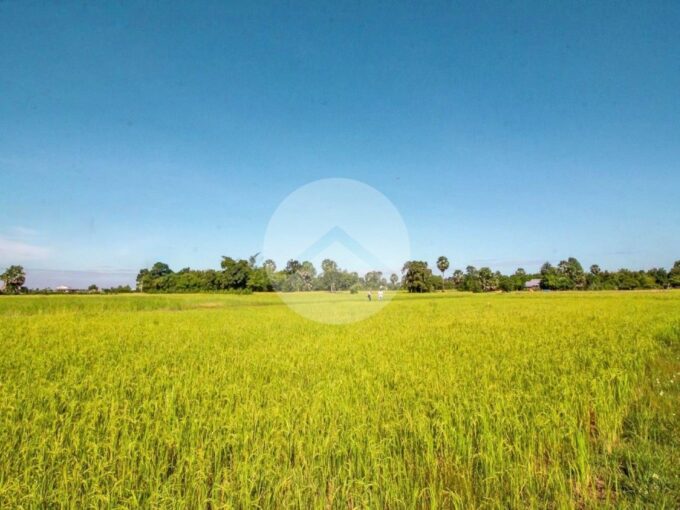 1195 sq.m. Land For Sale - Bakong District