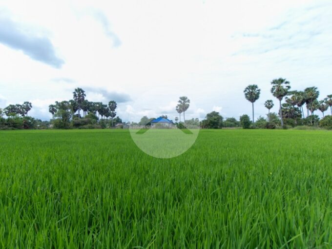 6000 Sqm Residential Land - Sangkat Siem Reap