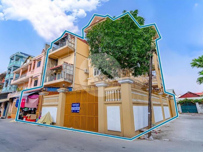 Shophouse and Apartment Building For Sale - Teuk Thla