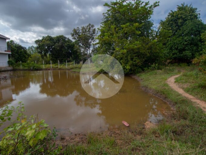 218 Sqm Land For Sale - Svay Dangkum