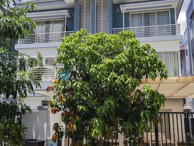 Beoung Snor - Twin Villa in Borey Peng Hout