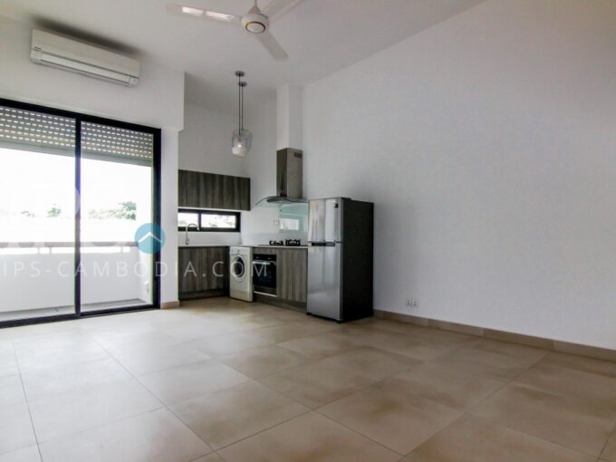 1 Bedroom Renovated For Rent in Daun Penh- Phnom Penh