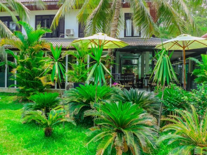 Restaurant Business for Sale - Siem Reap