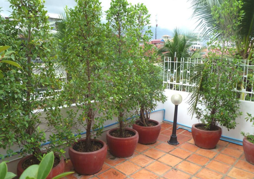 17051205070e325a-10-P1100302-4BedroomTownhouseinBKK1